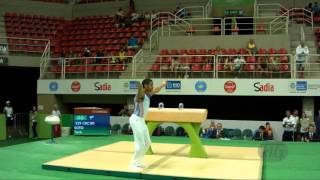 SOTO Tarik CRC  2016 Olympic Test Event Rio BRA  Qualifications Pommel Horse [upl. by Ellehcal]