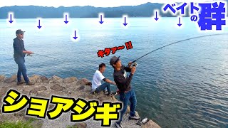 無数のベイトの群れの下に潜む怪魚を釣りまくった！！ [upl. by Frederic]