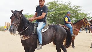 FEIRA DE CAVALOS EM ALTINHOPE 26102024 nordeste [upl. by Brew]