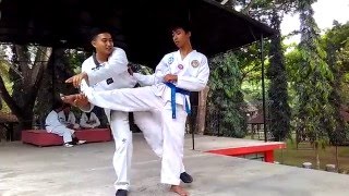 cara membanting orang Taekwondo BANYUWANGI [upl. by Ashil]