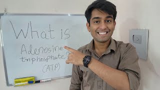 Learn What is Adenosine Triphosphate ATP  ATP  The Energy Currency of Cells  in Biology [upl. by Bela]