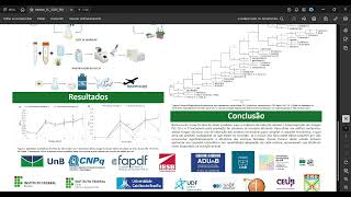 apresentacaoPIBITI2324 [upl. by Assilam]