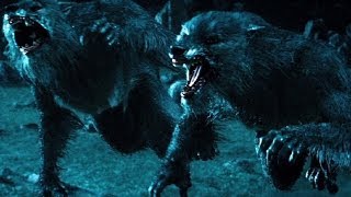 Top 10 Werewolf Movies REDUX [upl. by Worden208]