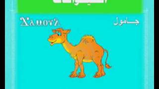 اللغة القبطية  درس الحيوانات 1 [upl. by Ewens]