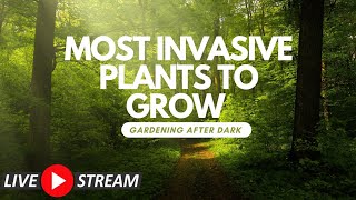 Most Invasive Plants To Grow  Gardening After Dark [upl. by Lyrret252]