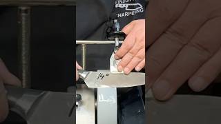 Tormek Knife Sharpening  14° asmr [upl. by Maryly]