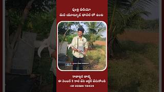 Electrical wireless rechargeable grass cutter Raja Reddy Bommakka [upl. by Inalial696]