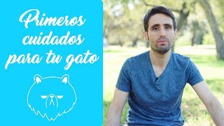 Los primeros cuidados de tu gatito ¿Sabes dónde colocar su arenero [upl. by Harlie]