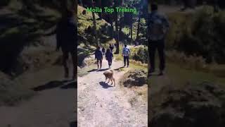 Moila Top Treking 🏔️⛰️mountains chakrata travel adventure [upl. by Nocaj]