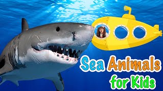 Sea Animals For Kids  Soso Goes On A Submarine to Explore Some Sea Animals [upl. by Arima]