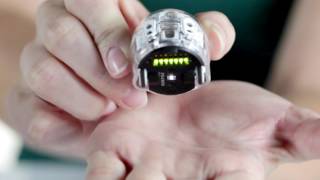 Get to Know Ozobot Evo the Smart and Social Robot [upl. by Innob]