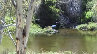 Onkaparinga National Park [upl. by Pfeffer]