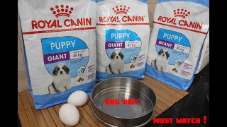 dog diet  royal canin dog diet  healthy dog diet [upl. by Marigold755]