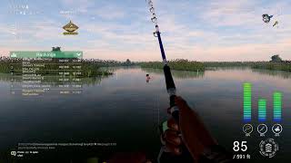 Fishing Planet World Bass Tour Qualifier 1 [upl. by Giarc]