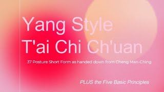 Yang Style Tai Chi  Bidirectional Cheng ManChing 37 Posture Form [upl. by Pressman]