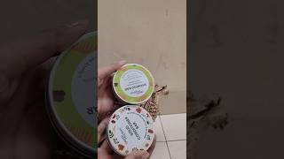 Earth rhythm shampoo and conditioner bar 🫧🧼 review trending earthrhythm flipkart [upl. by Ecaroh813]