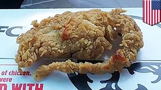 KFC deep fried rat its a hoax says KFC after rat pic goes viral  TomoNews [upl. by Fonseca]