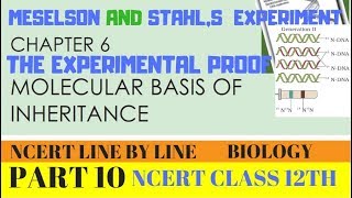 PART10 MESELSON AND STAHLS EXPERIMENT CHAPTER 6 NCERT CLASS 12TH BIOLOGY [upl. by Borrell]