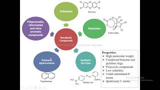 Biodegradation of Xenobiotics [upl. by Irvin]