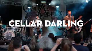 Montreux Jazz Festival 2017  Interview Cellar Darling [upl. by Divad]