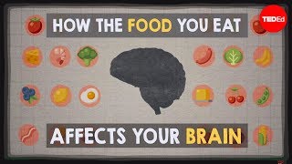 How the food you eat affects your brain  Mia Nacamulli [upl. by Oravla]