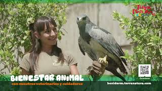 Bienestar animal en Terra Natura Benidorm [upl. by Rusell]