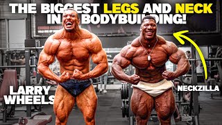 The Biggest LEGS and NECK in Bodybuilding with Rubiel aka NECKZILLA [upl. by Cerracchio]