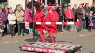 Zevenaar Carnavalsoptocht 2014 [upl. by Nat655]