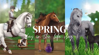 A Spring Barn Routine II Foal Update Lessons Nektar amp More II SSO RRP [upl. by Frohne254]