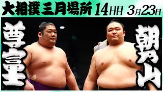 大相撲 尊富士ー朝乃山＜令和６年三月場所・１４日目＞SUMO [upl. by Faustena270]