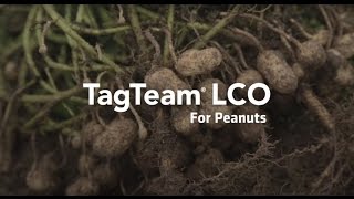 Introducing TagTeam® LCO for Peanuts [upl. by Lubbock]