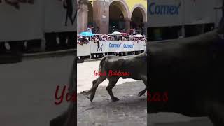 MARQUESADA SALVATIERRA GUANAJUATO toros toro tradiciones plazadetoros yisusBalderas cultura [upl. by Chariot]