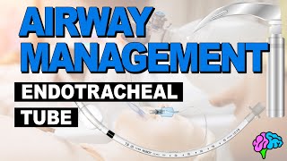 Anatomy of the Endotracheal Tube ET Tube  Airway Management [upl. by Otreblide]