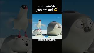 Puiul De Foca Dragut Vs Pasari Tu Iubesti Animalele 🥰 [upl. by Mirella935]