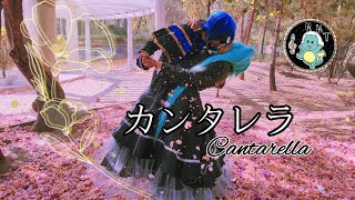 Cantarella  KAITO 💙 Live Action [upl. by Niowtna]