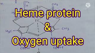 heme protein and oxygen uptake [upl. by Knudson580]