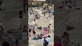 Aggressive Seal Chases People At Beach [upl. by Nnylakcaj892]