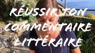 COMMENT FAIRE UN COMMENTAIRE LITTERAIRE [upl. by Zebada]