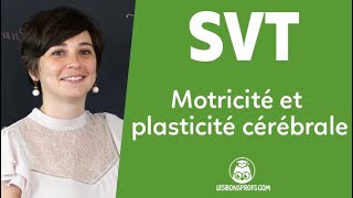 Motricité et plasticité cérébrale  SVT  Terminale  Les Bons Profs [upl. by Oicatsana357]