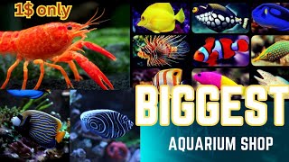 Biggest Aquarium Shop in Canada  Rare fish Collection  Lyf Type  Big AI Supercenter  Marine Fish [upl. by Olva840]