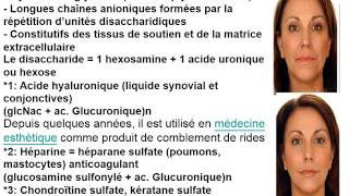 BIOCHIMIE 1 GLUCIDES structures et métabolisme [upl. by Werra948]