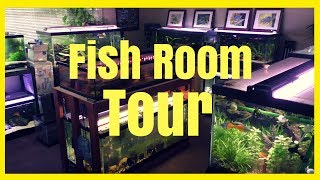 Steenfott Aquatics Fish Room Tour [upl. by Scottie]