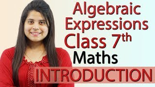 Algebraic Expressions  Chapter 10  Introduction  NCERT Class 7th Maths Solutions [upl. by Eybba8]