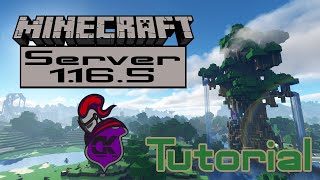 Tutorial como montar Servidor Minecraft Forge 1165  36234 Forge LOCAL mods launcher java [upl. by Aihsei]