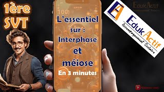 Lessentiel sur linterphase et la méiose en 3 minutesPremière spécialité SVT meiose méiose svt [upl. by Drahnreb]