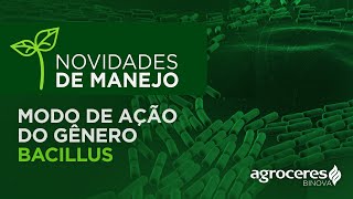 Modo de Ação do gênero Bacillus  Novidades de Manejo [upl. by Eeldivad]