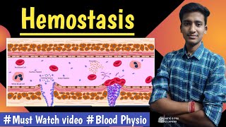 Hemostasis  Blood Physio LecturesMBBS hindi Ashish [upl. by Mercier868]