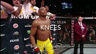 Anderson Silva Knees [upl. by Blessington]