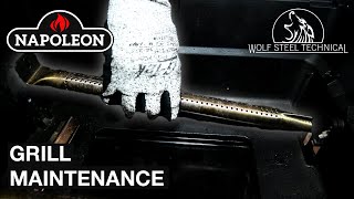 Napoleon Grill Cleaning amp Maintenance [upl. by Trygve]