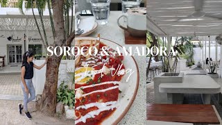 Soroco House amp Amadora Gourmet Ice Cream  Food Vlog  Chennai [upl. by Swarts]